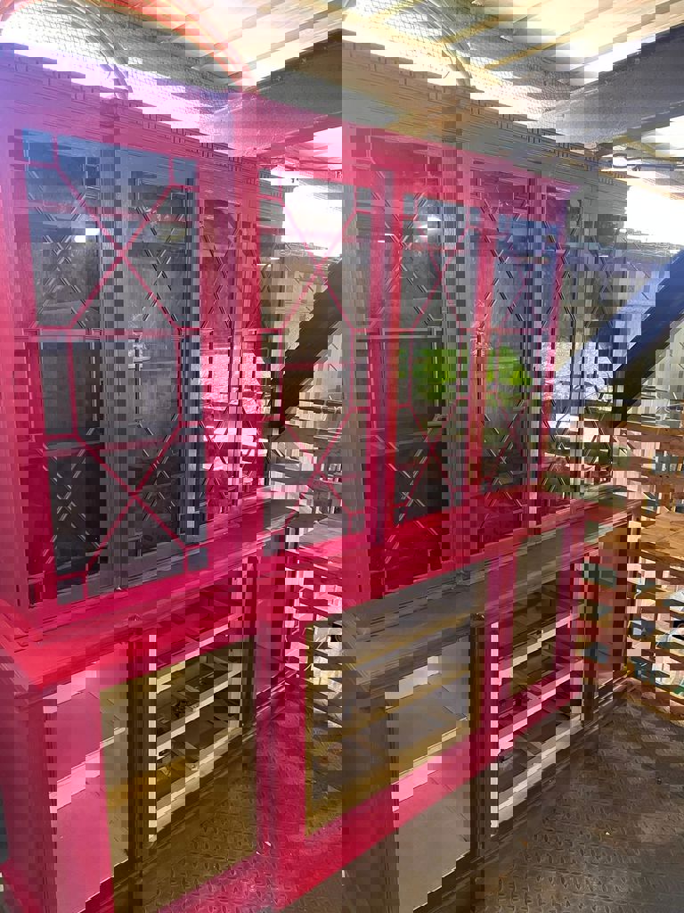 סדנת מיחדוש וצביעה 20