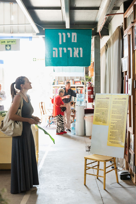 ???? ???? | ?????? ????? ?????