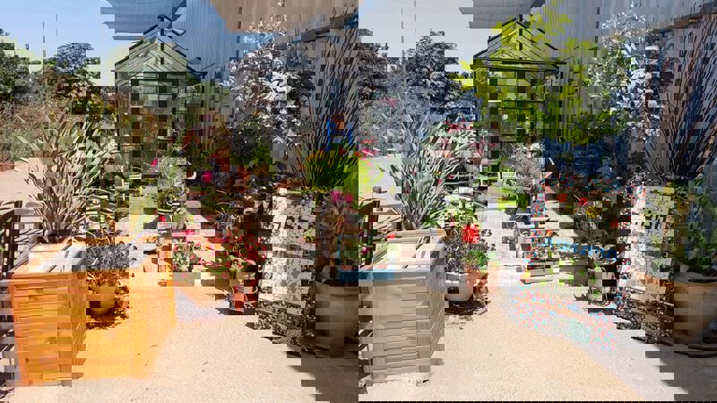 WhatsApp Image 2025-07-08 at 21.43.42 (1)_800x450