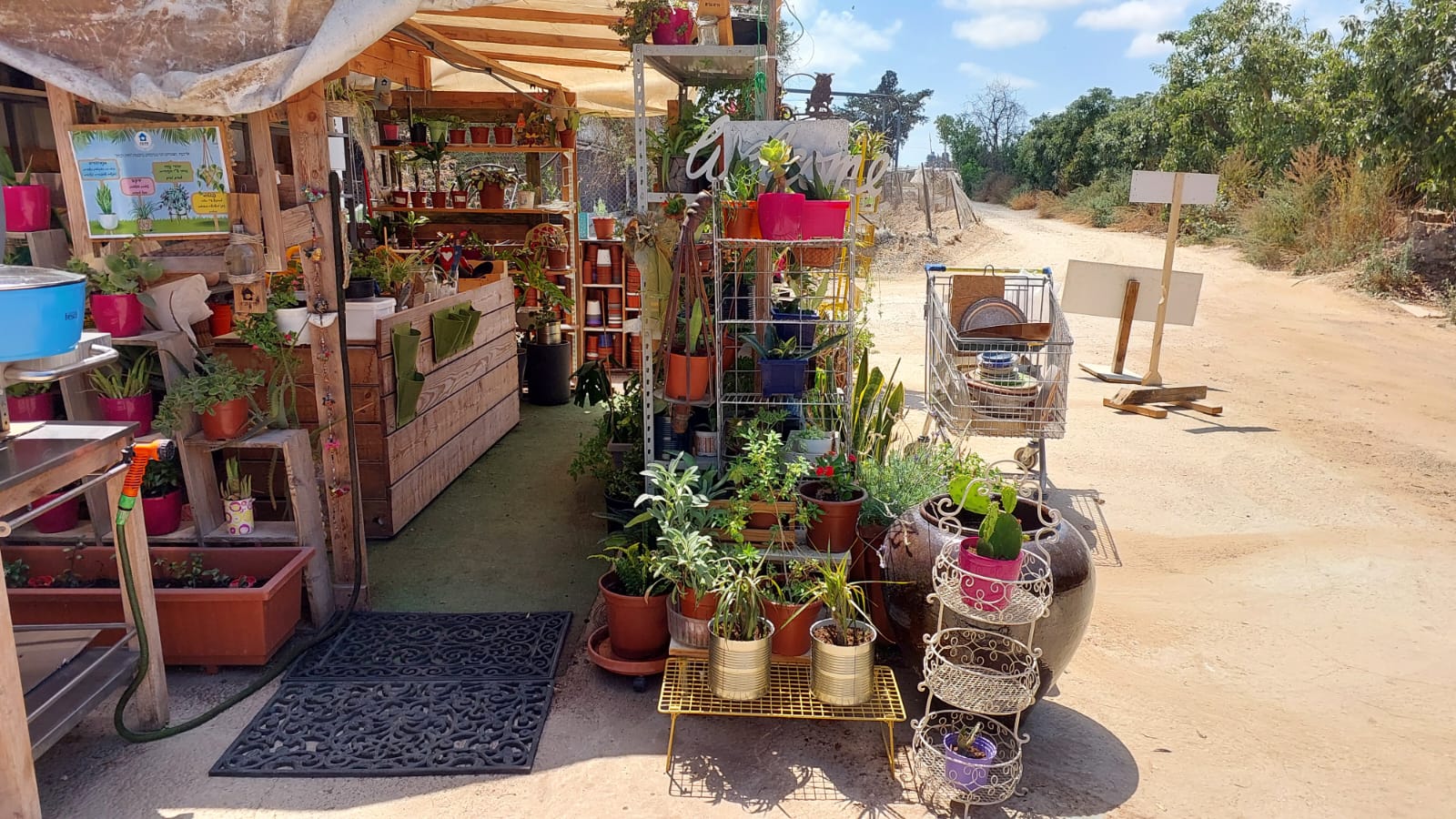 WhatsApp Image 2025-07-08 at 21.43.42