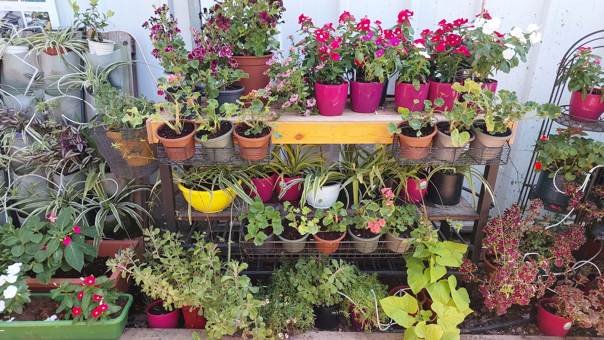 WhatsApp Image 2025-07-08 at 21.43.43 (1)