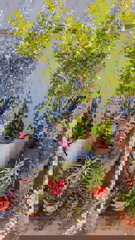 WhatsApp Image 2025-07-08 at 21.43.45_450x800