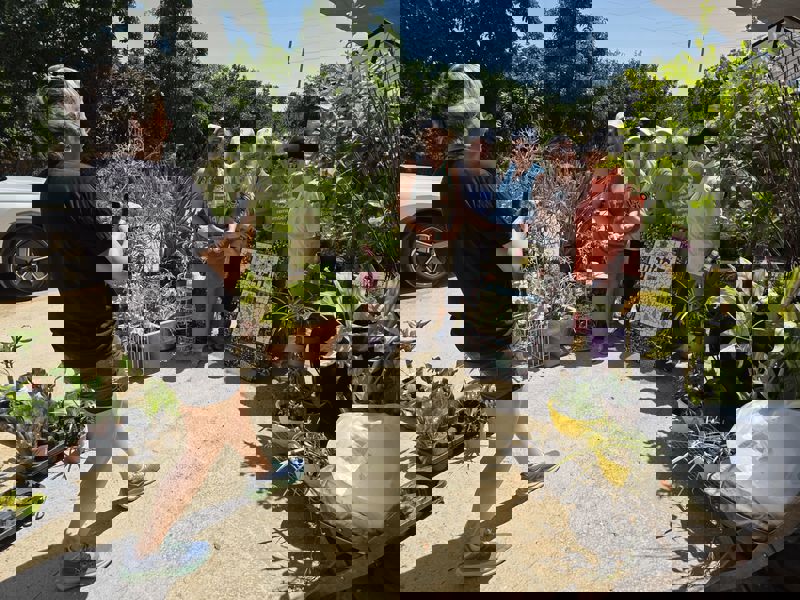 WhatsApp Image 2025-07-08 at 21.43.46_800x600