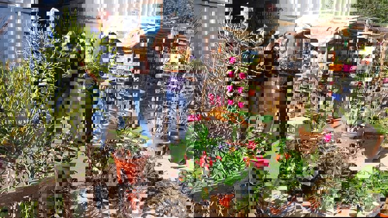 WhatsApp Image 2025-07-08 at 21.43.49_800x450