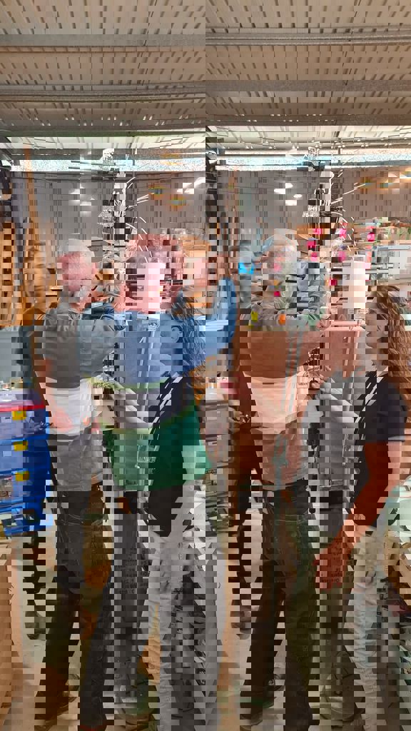 האנגריה של חזית הבית 11