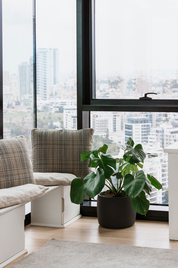 ???? ???? | ???? ?????