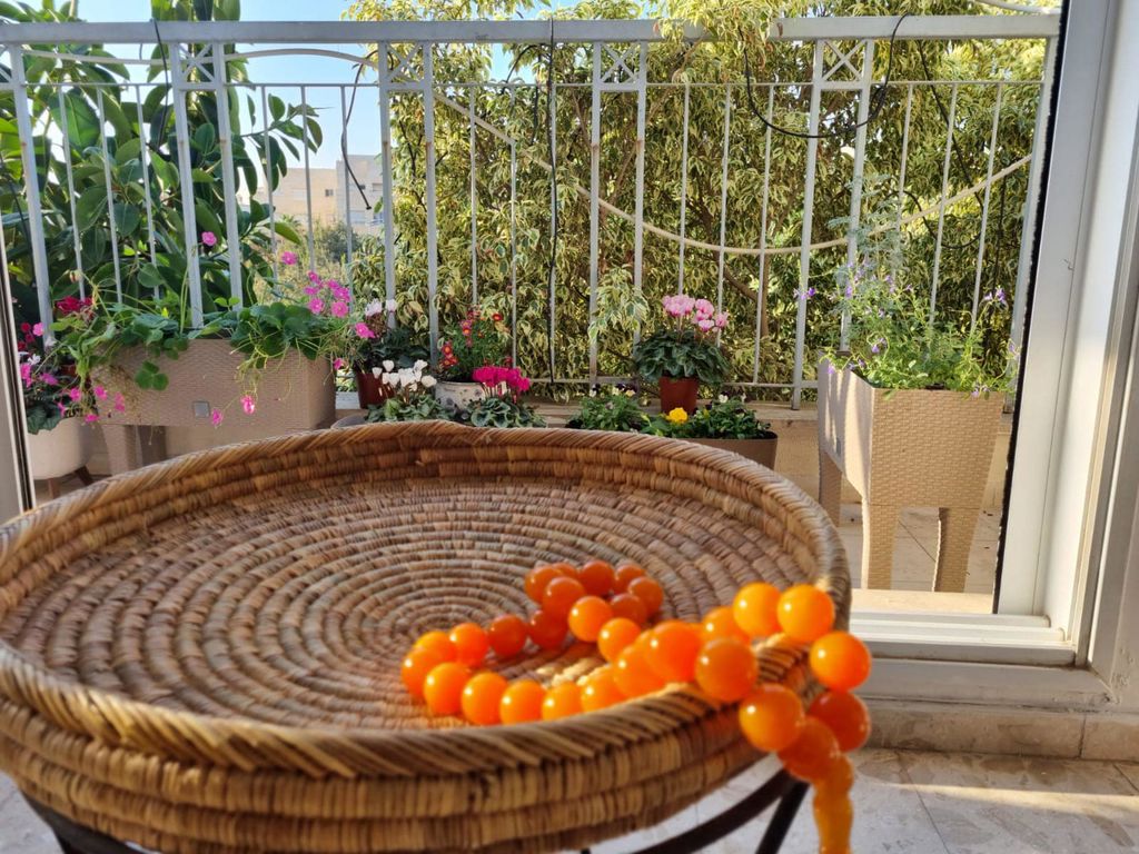 הבתים של חזית הבית 27