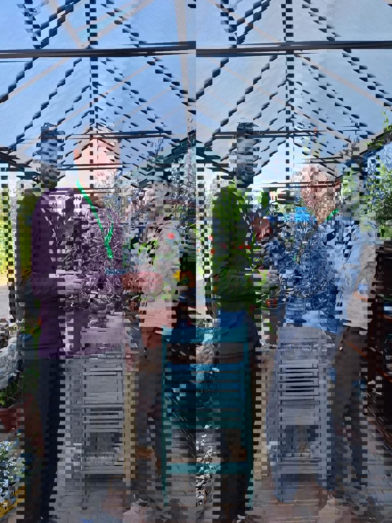 החממה של חזית הבית 1