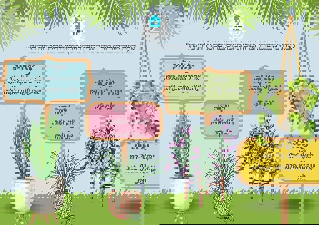 החממה של חזית הבית 10