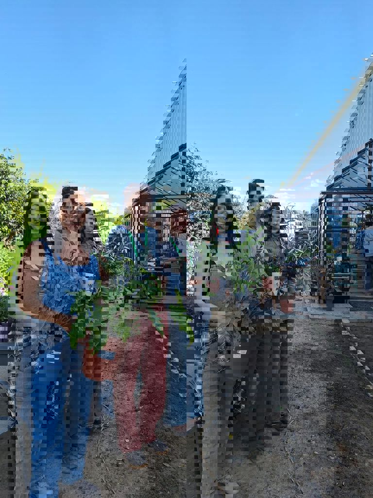 החממה של חזית הבית 15