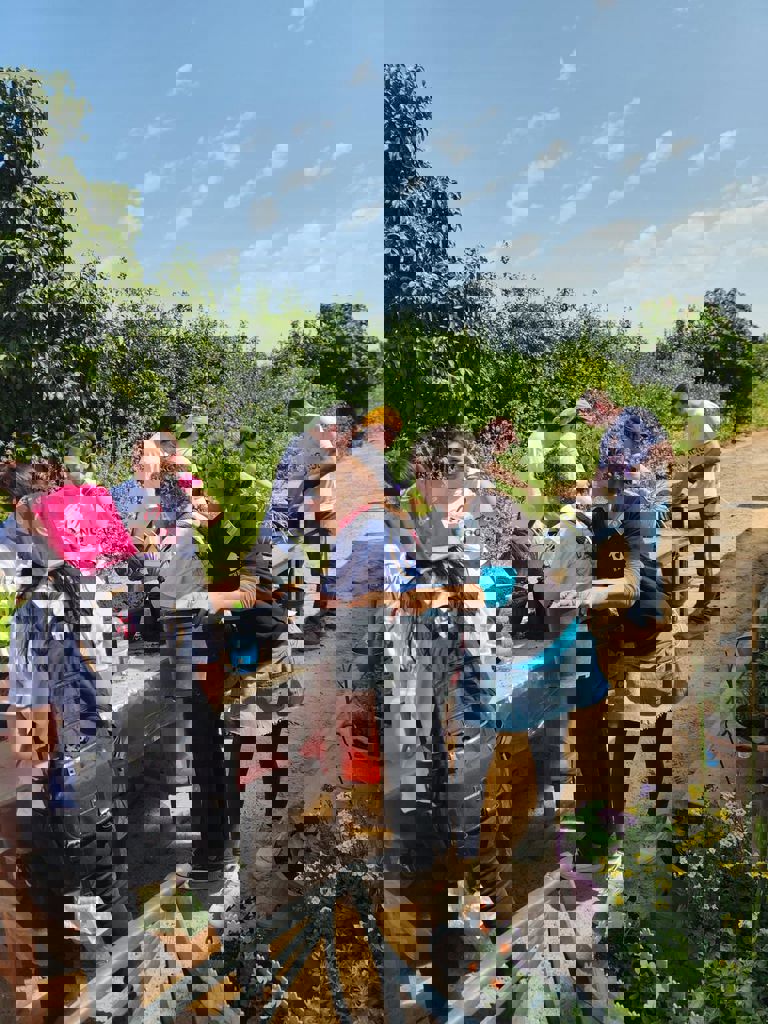 החממה של חזית הבית 16