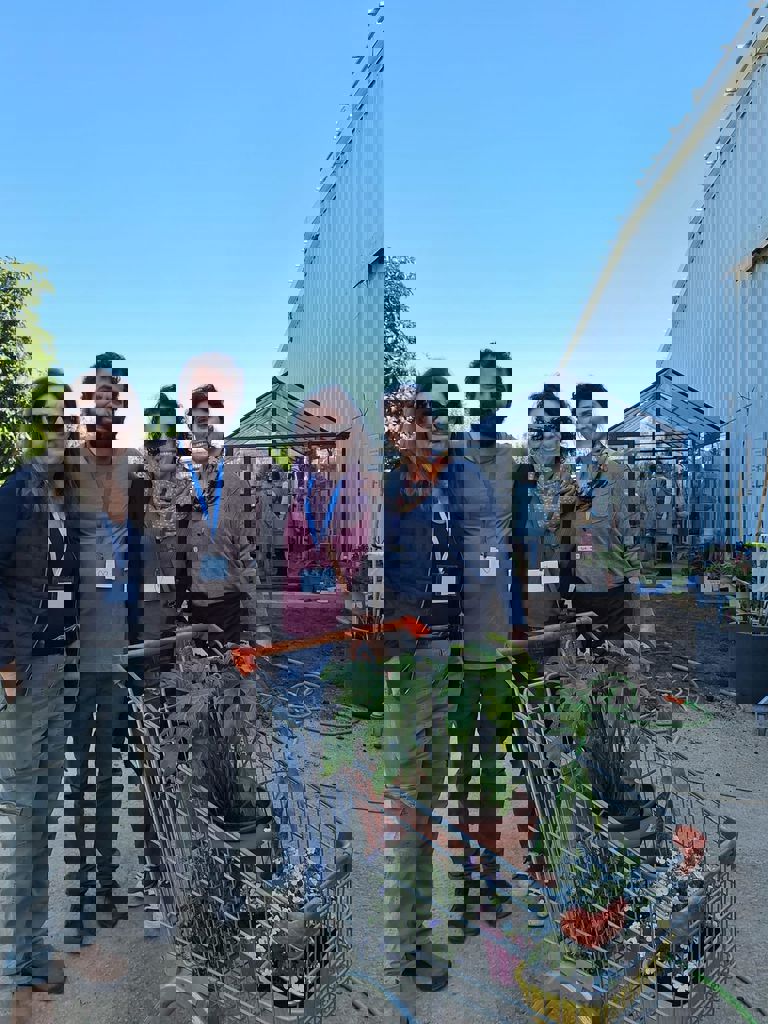 החממה של חזית הבית 2