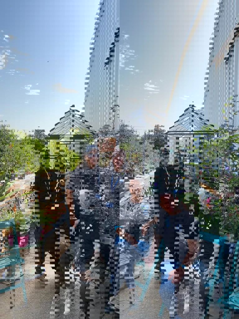 החממה של חזית הבית 34