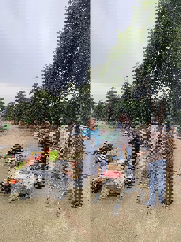 החממה של חזית הבית 4