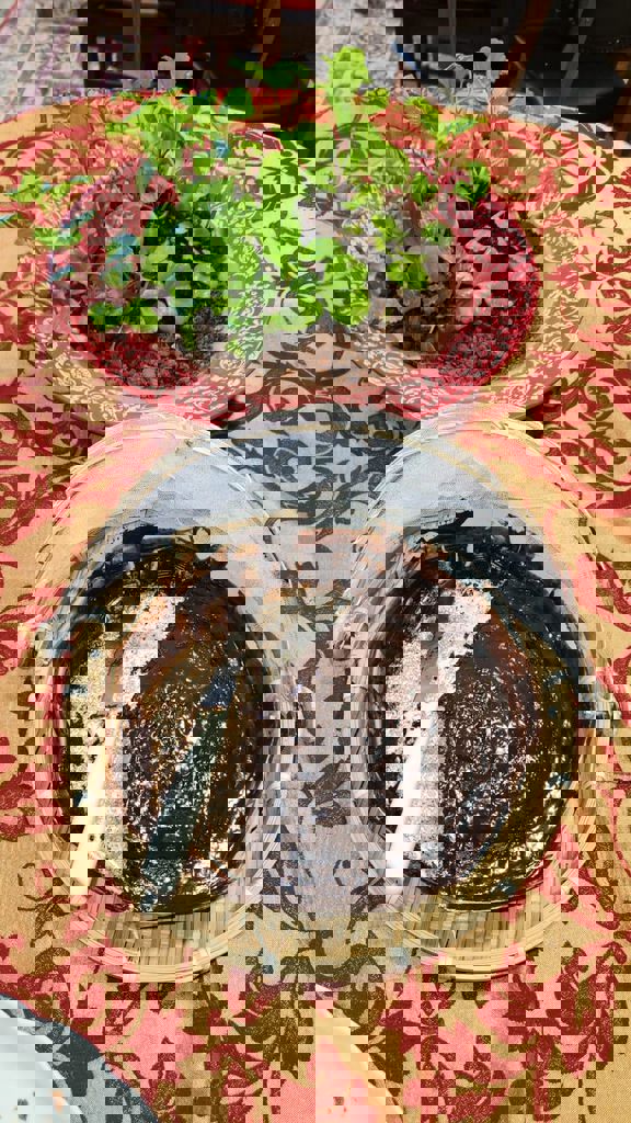 המטבח של חזית הבית 1