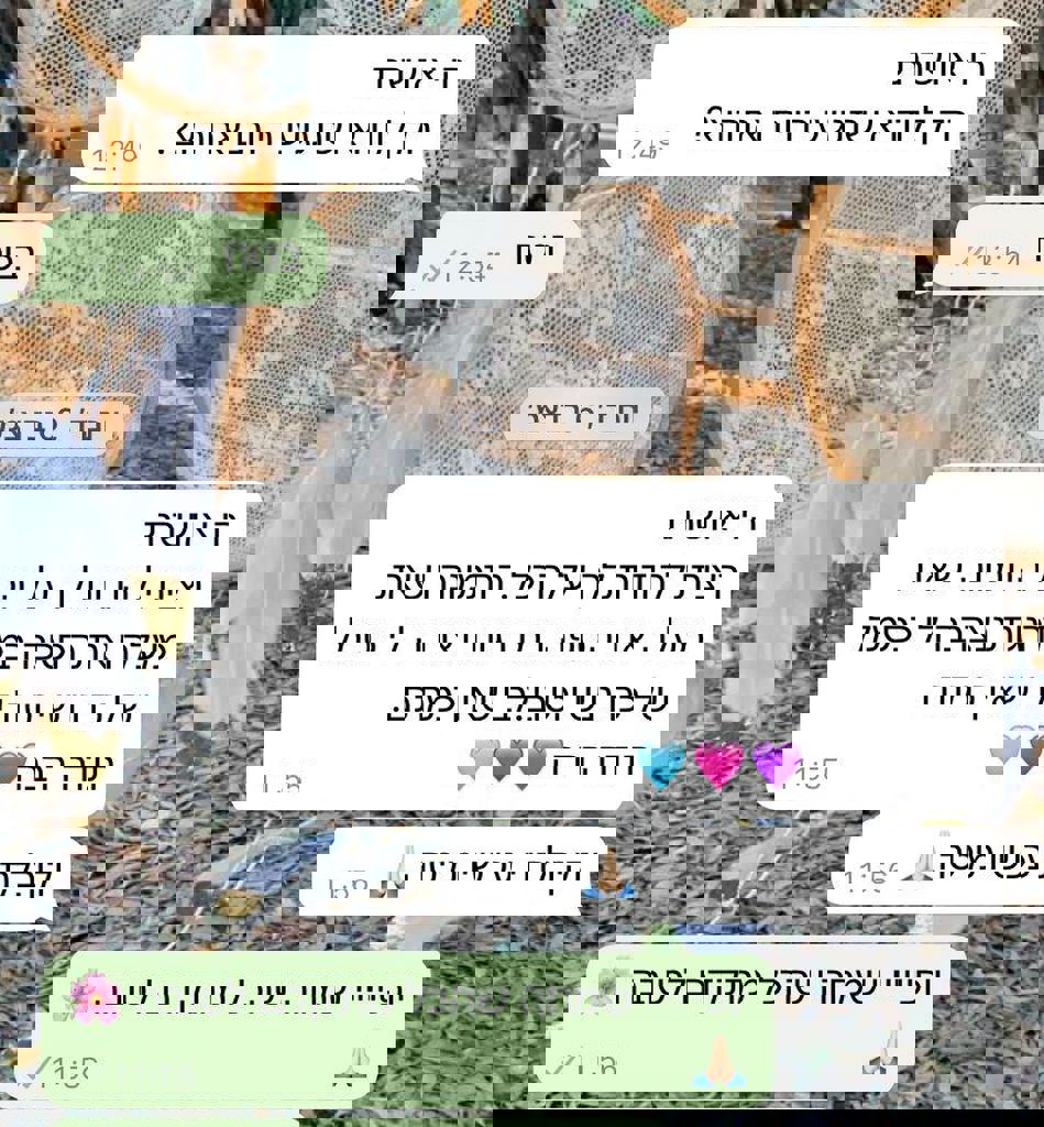 המשפחות של חזית הבית 10