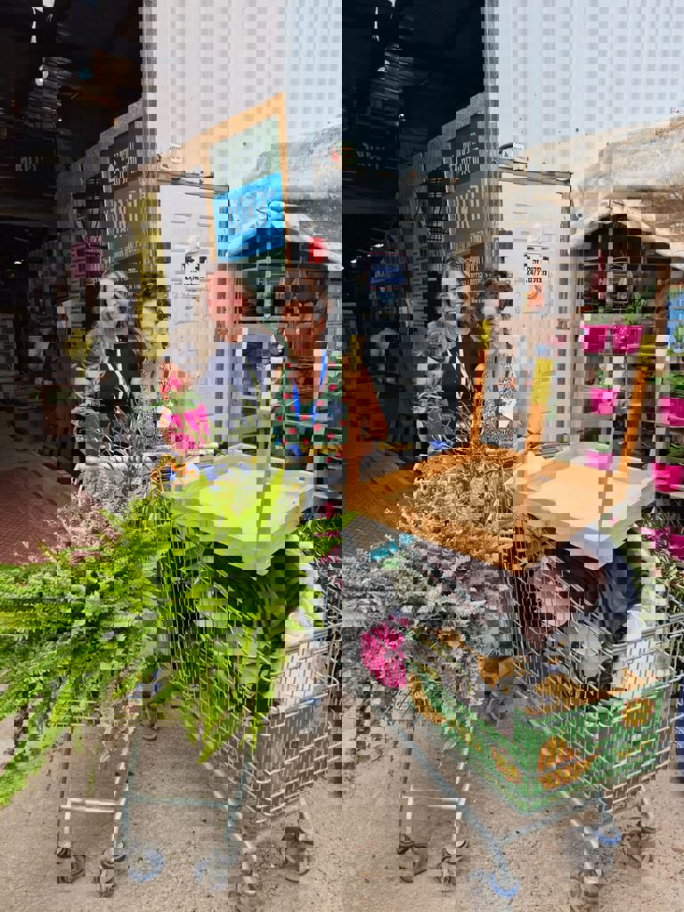 המשפחות של חזית הבית 113