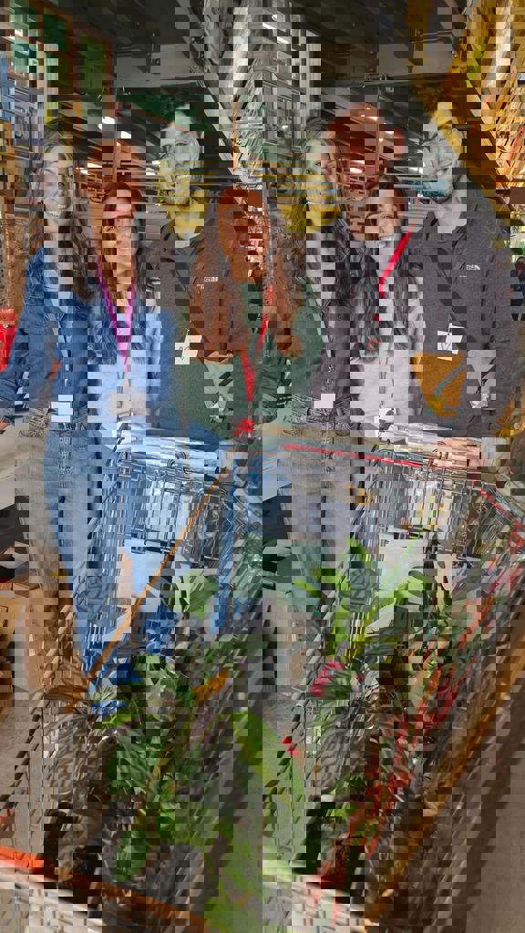 המשפחות של חזית הבית 115