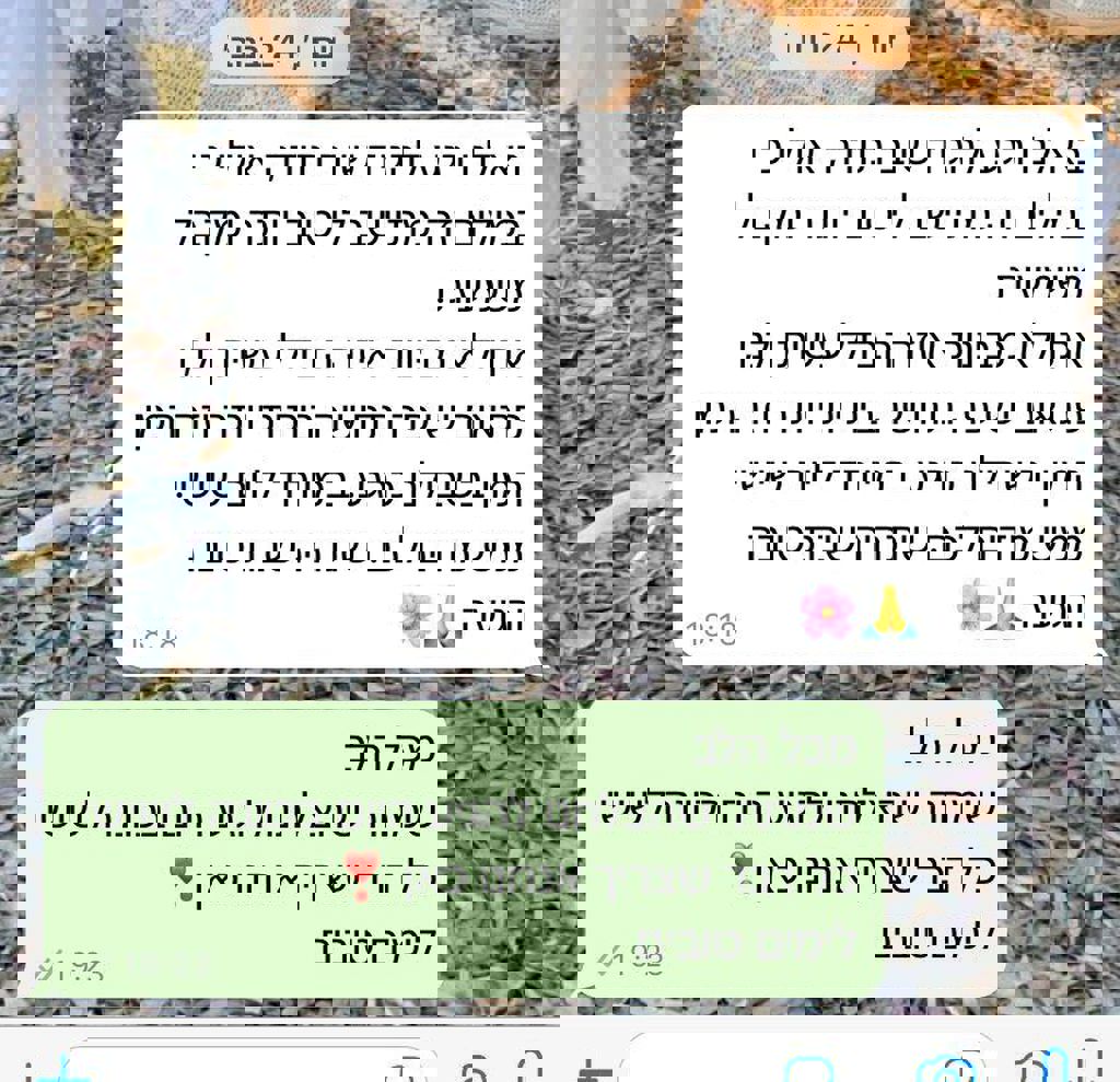 המשפחות של חזית הבית 16