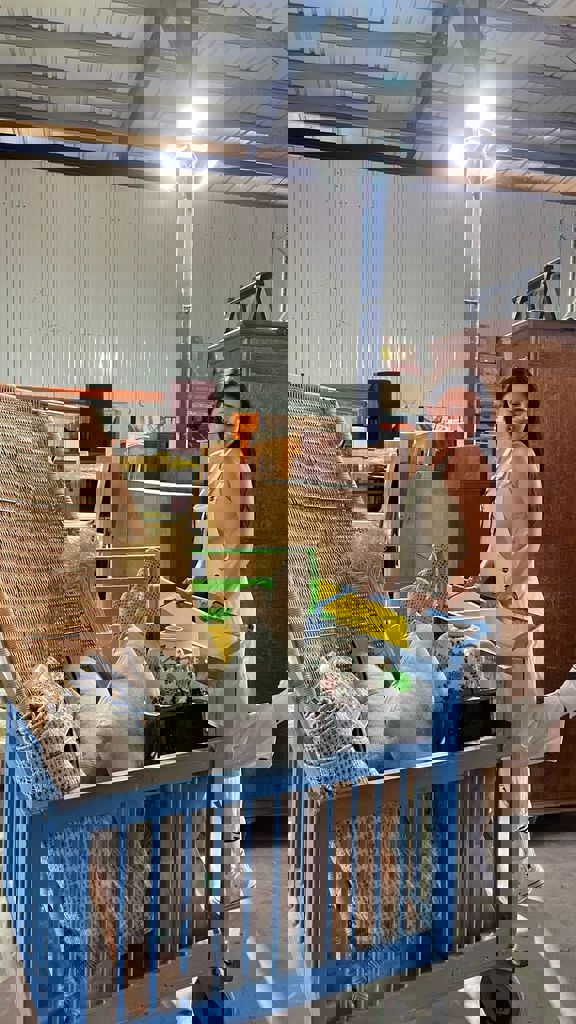 המשפחות של חזית הבית 25