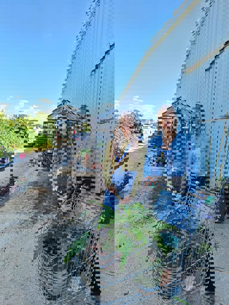 המשפחות של חזית הבית 29