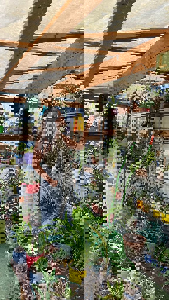 המשפחות של חזית הבית 37