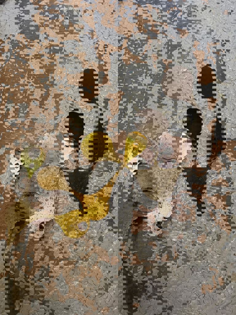 הסטודיו, קהילה יוצרת אומנות 5