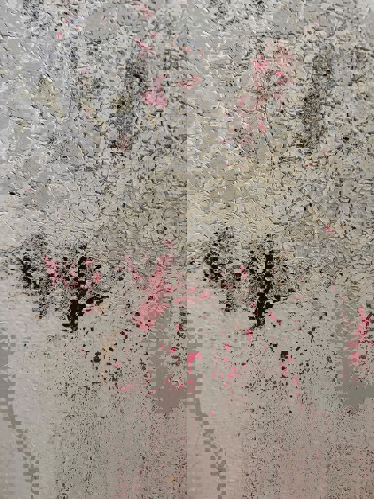 הסטודיו, קהילה יוצרת אומנות 9