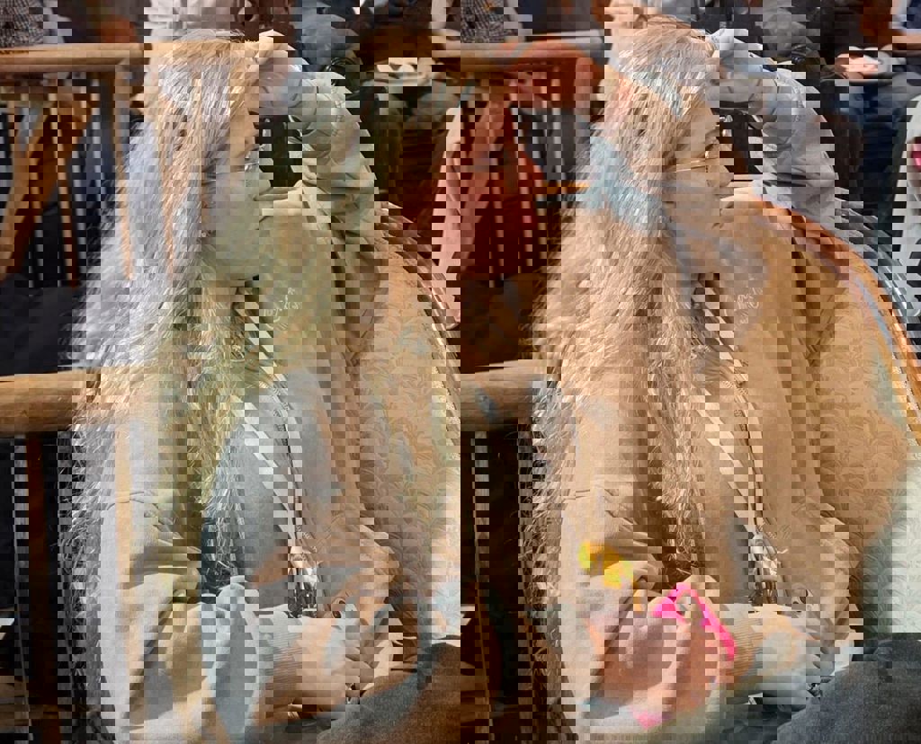 הסלון של חזית הבית 14