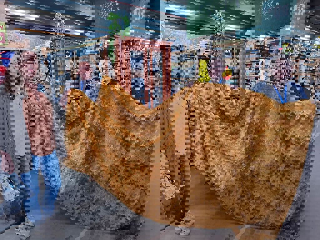 מחלקת טקסטיל 5