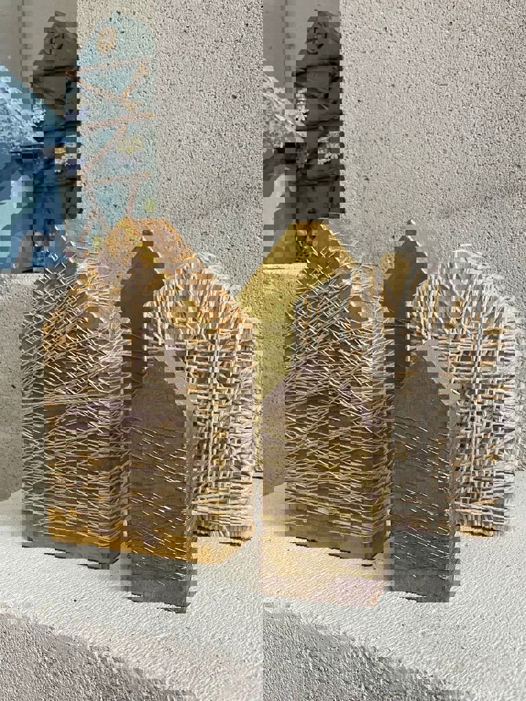 מיצג עם שלם עושה בית 10