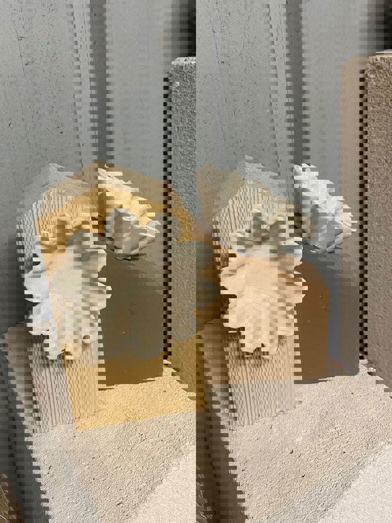 מיצג עם שלם עושה בית 14