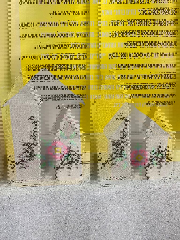 מיצג עם שלם עושה בית 16