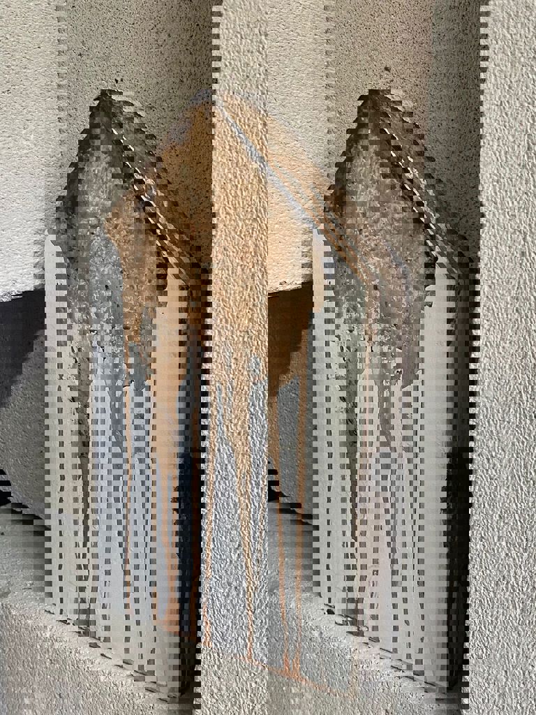 מיצג עם שלם עושה בית 5