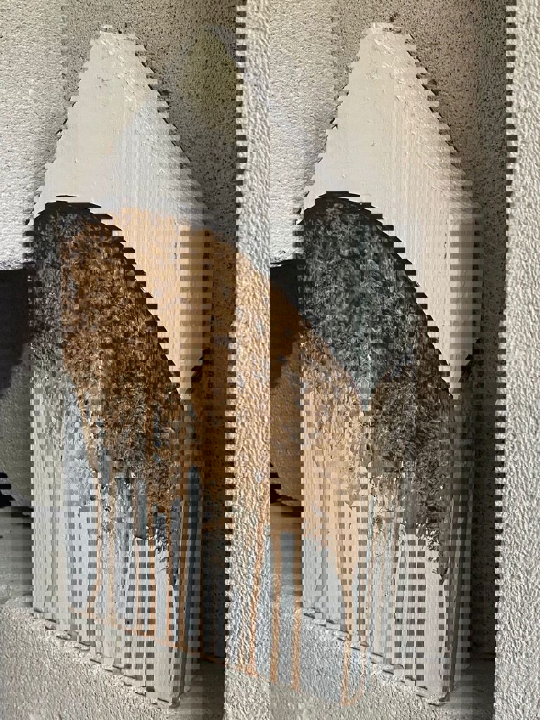 מיצג עם שלם עושה בית 6