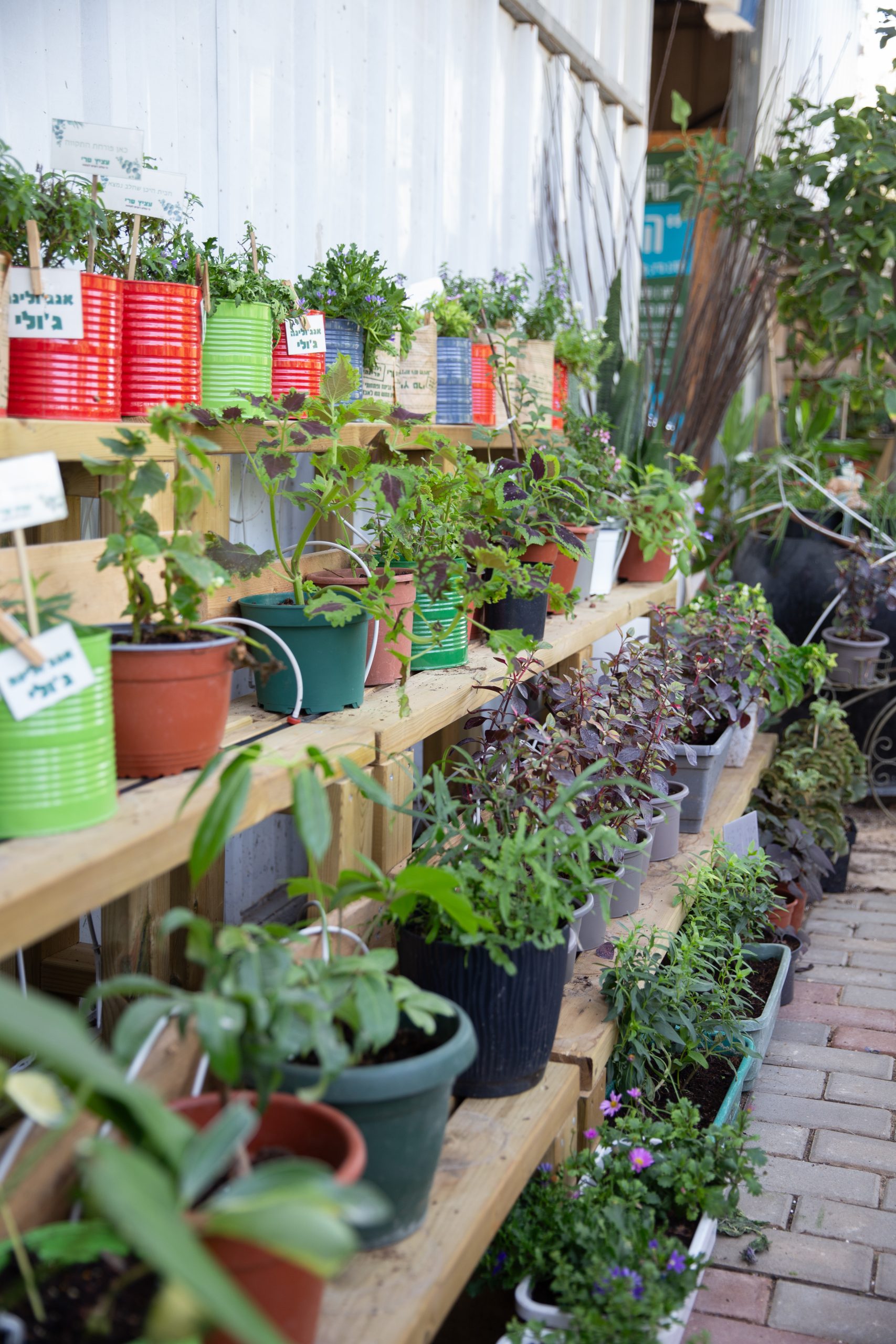 Read more about the article The Greenhouse