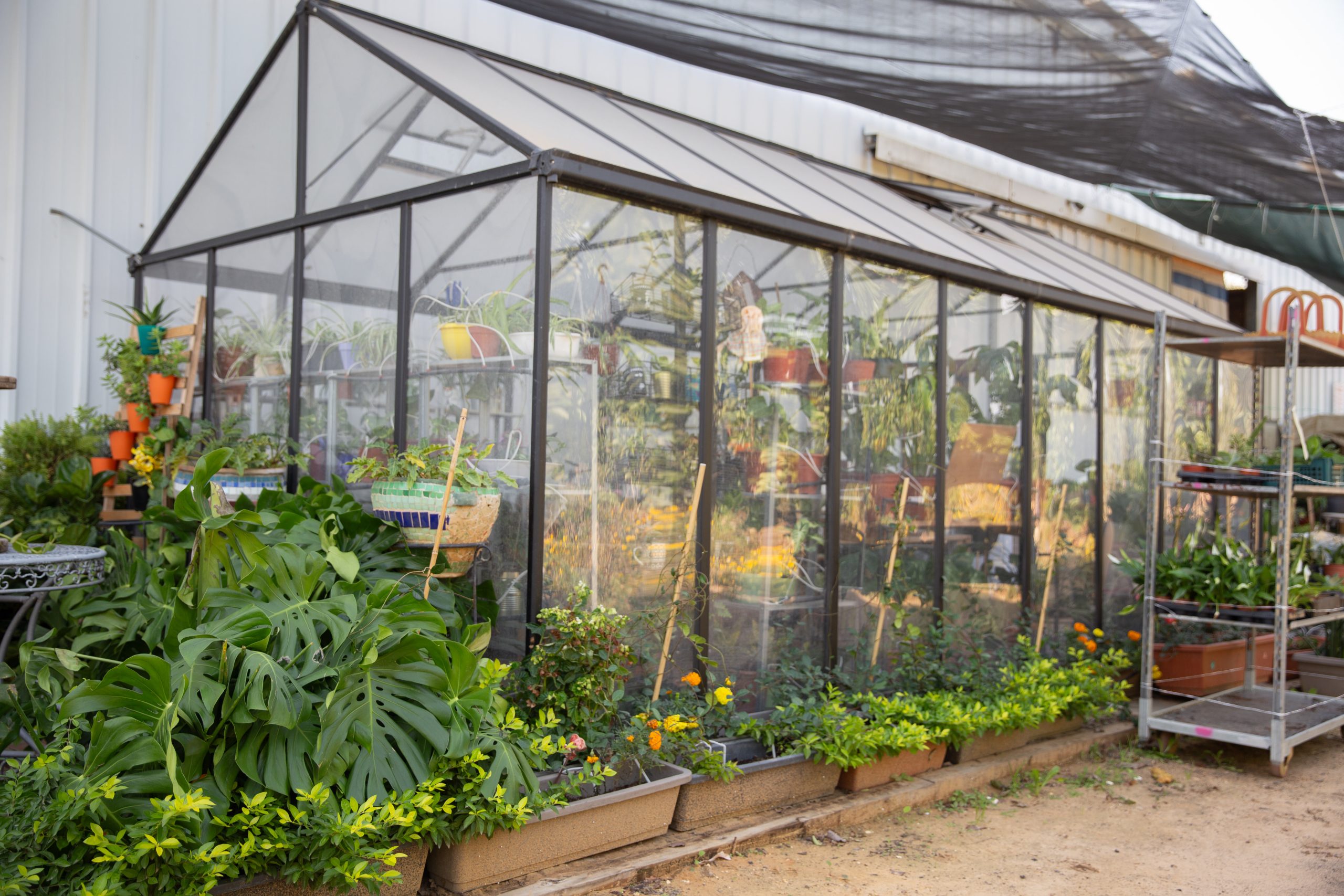 You are currently viewing Greenhouse Workshop