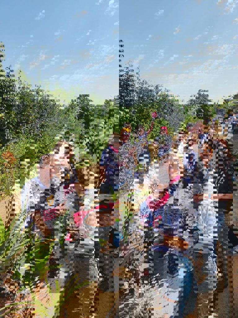 סדנת החממה 2