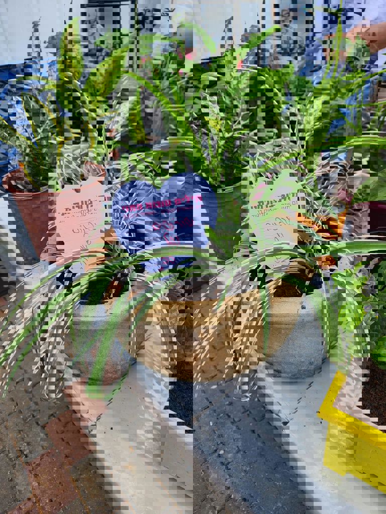 סדנת החממה 4