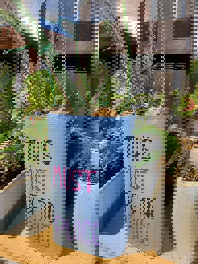 סדנת החממה 5