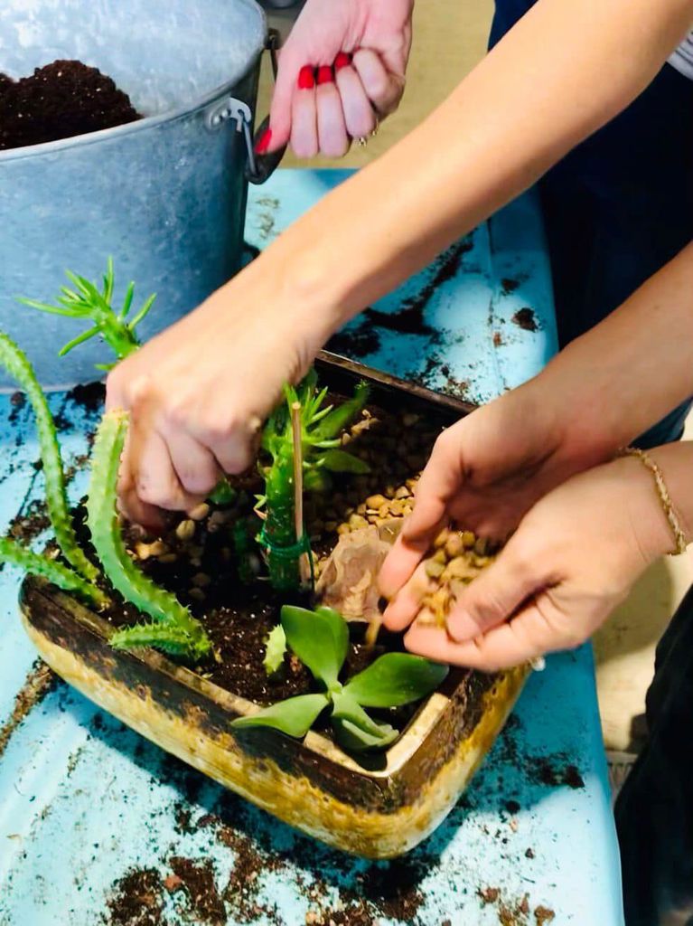 סדנת החממה 6