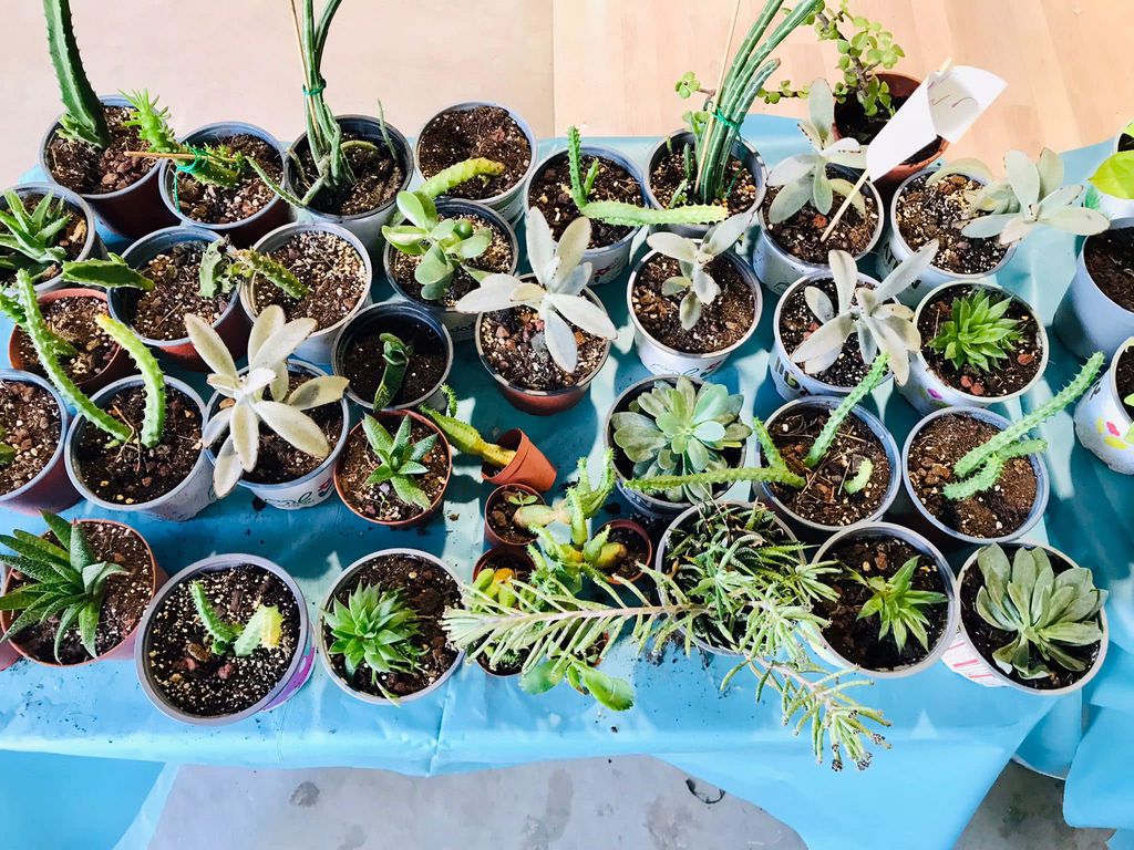 סדנת החממה 7