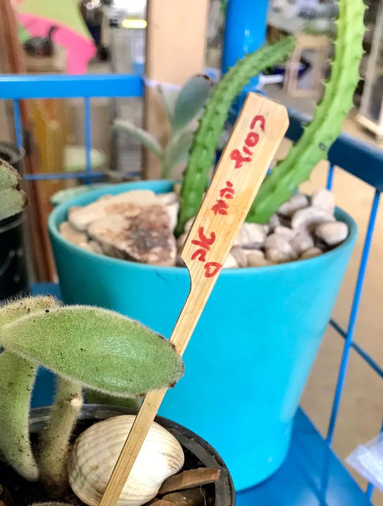 סדנת החממה 9